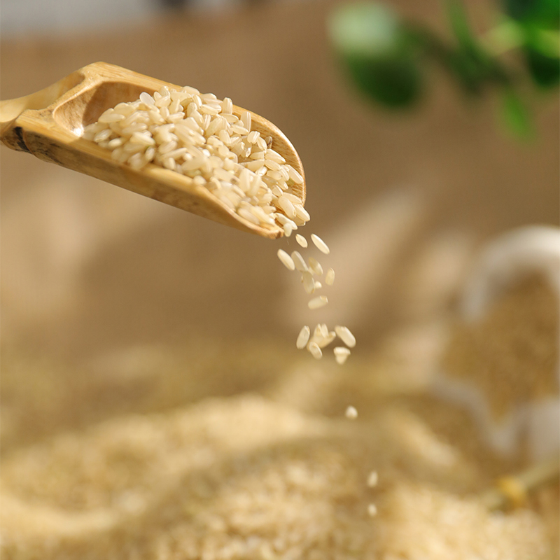 青田稻魚(yú)米糙米450g