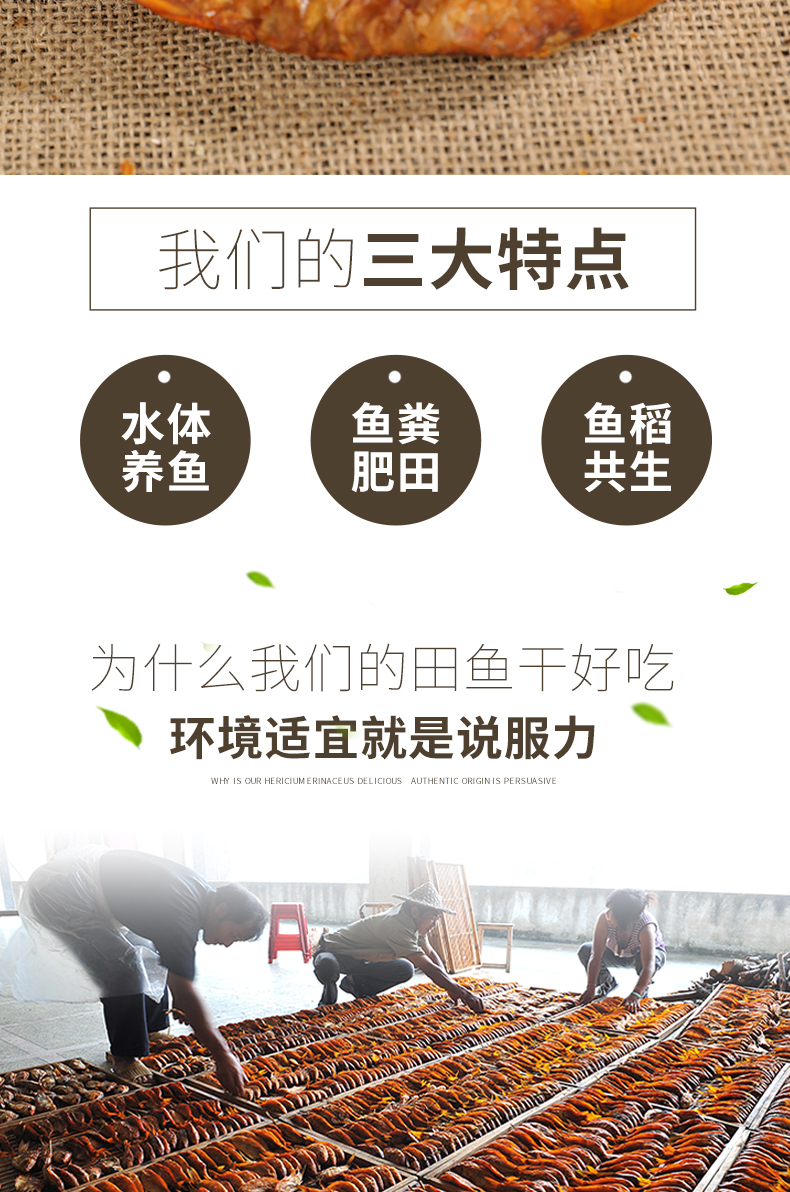 青田田魚(yú)干500g(圖2)