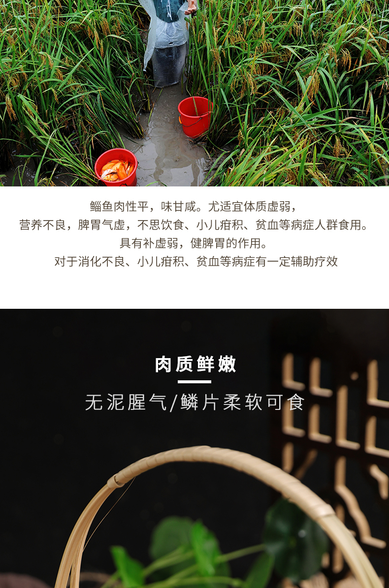 青田田魚(yú)干500g(圖5)